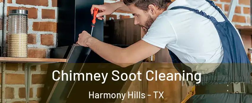 Chimney Soot Cleaning Harmony Hills - TX