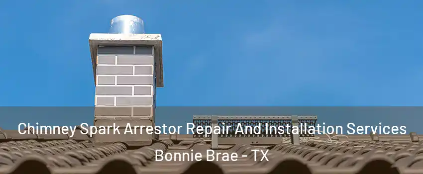 Chimney Spark Arrestor Repair And Installation Services Bonnie Brae - TX