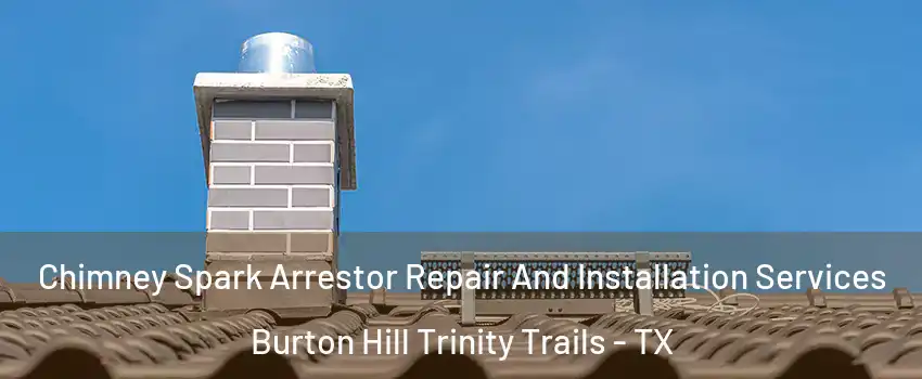 Chimney Spark Arrestor Repair And Installation Services Burton Hill Trinity Trails - TX