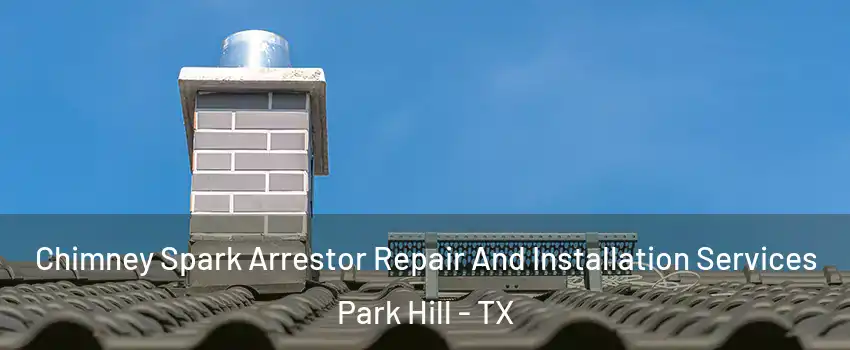 Chimney Spark Arrestor Repair And Installation Services Park Hill - TX