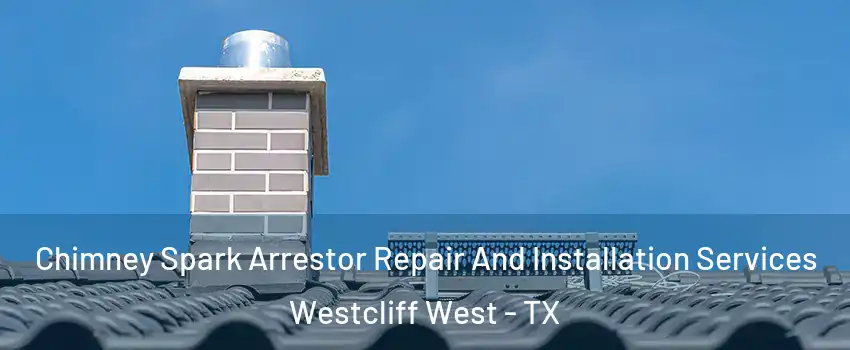 Chimney Spark Arrestor Repair And Installation Services Westcliff West - TX