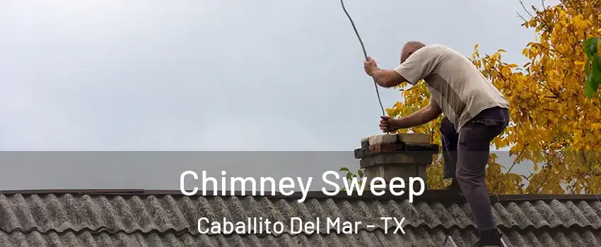 Chimney Sweep Caballito Del Mar - TX