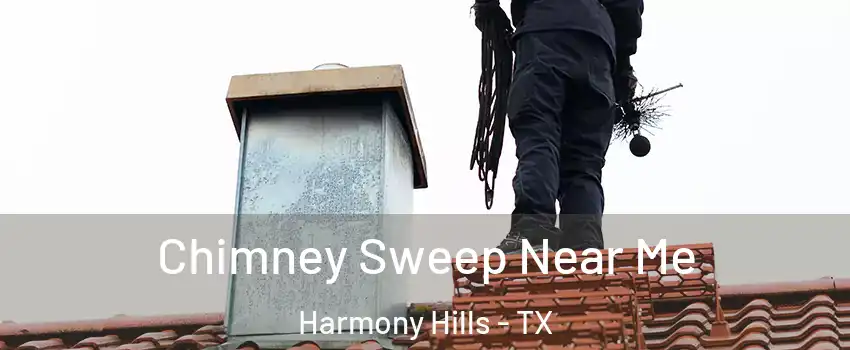 Chimney Sweep Near Me Harmony Hills - TX