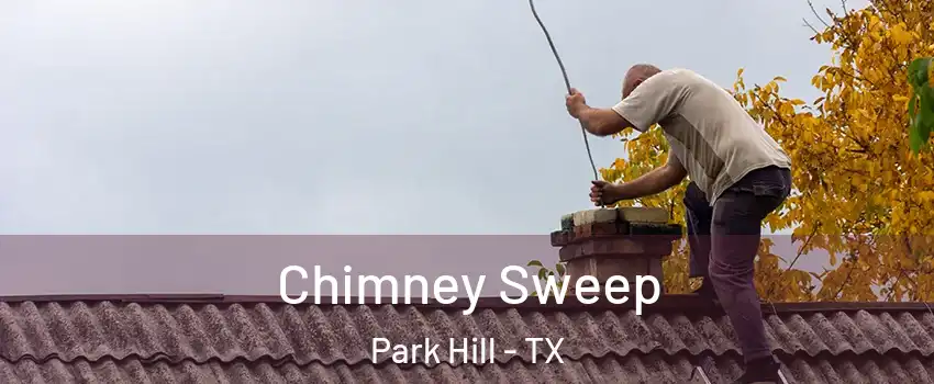 Chimney Sweep Park Hill - TX