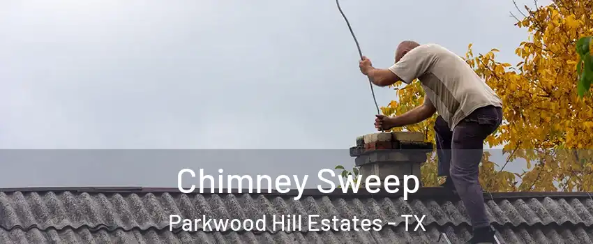 Chimney Sweep Parkwood Hill Estates - TX