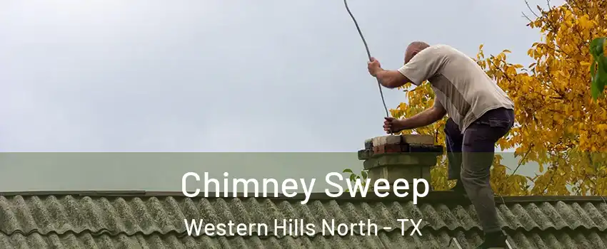 Chimney Sweep Western Hills North - TX