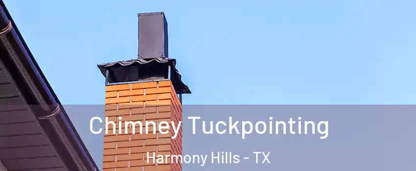 Chimney Tuckpointing Harmony Hills - TX