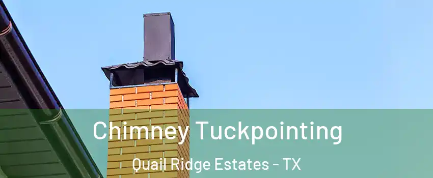 Chimney Tuckpointing Quail Ridge Estates - TX