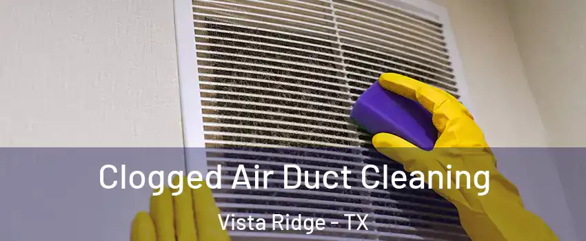 Clogged Air Duct Cleaning Vista Ridge - TX