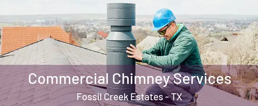 Commercial Chimney Services Fossil Creek Estates - TX