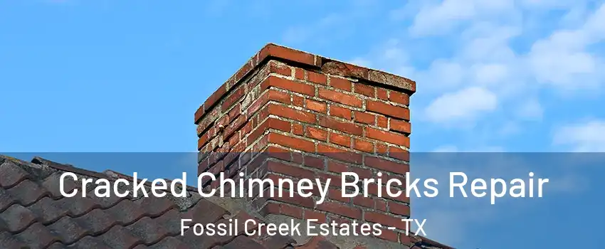 Cracked Chimney Bricks Repair Fossil Creek Estates - TX