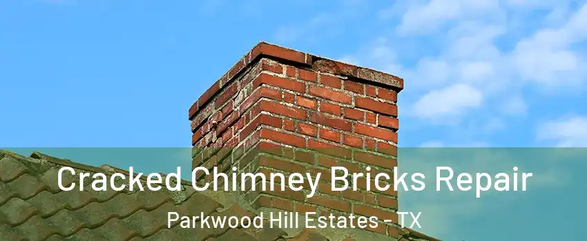 Cracked Chimney Bricks Repair Parkwood Hill Estates - TX