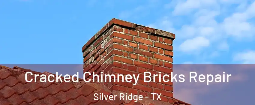 Cracked Chimney Bricks Repair Silver Ridge - TX