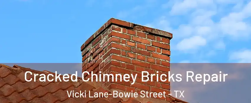 Cracked Chimney Bricks Repair Vicki Lane-Bowie Street - TX