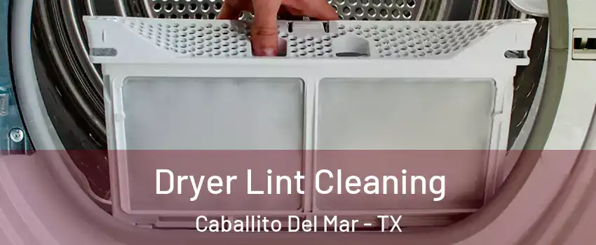 Dryer Lint Cleaning Caballito Del Mar - TX