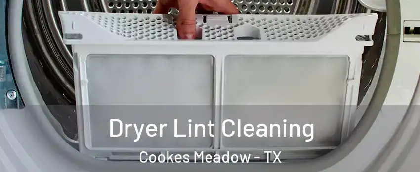 Dryer Lint Cleaning Cookes Meadow - TX