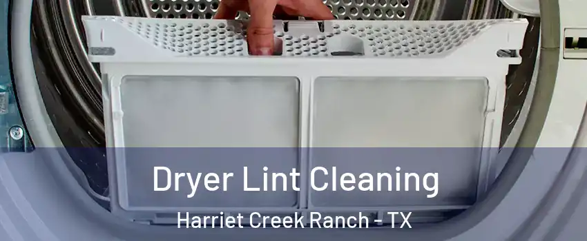 Dryer Lint Cleaning Harriet Creek Ranch - TX