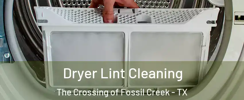 Dryer Lint Cleaning The Crossing of Fossil Creek - TX