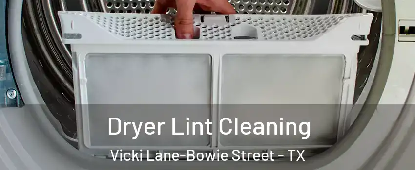 Dryer Lint Cleaning Vicki Lane-Bowie Street - TX