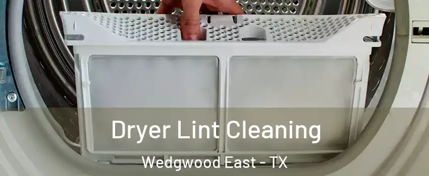 Dryer Lint Cleaning Wedgwood East - TX