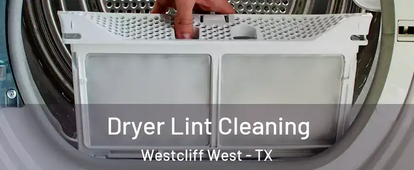 Dryer Lint Cleaning Westcliff West - TX