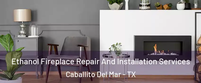 Ethanol Fireplace Repair And Installation Services Caballito Del Mar - TX