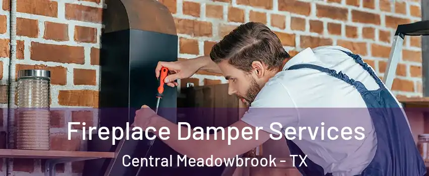 Fireplace Damper Services Central Meadowbrook - TX