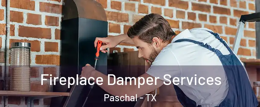 Fireplace Damper Services Paschal - TX