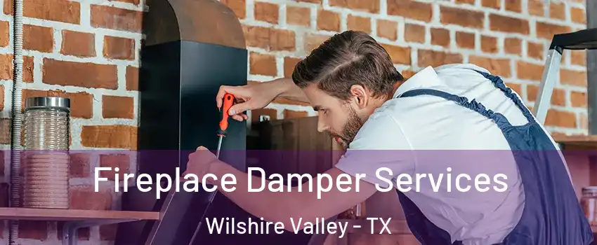 Fireplace Damper Services Wilshire Valley - TX