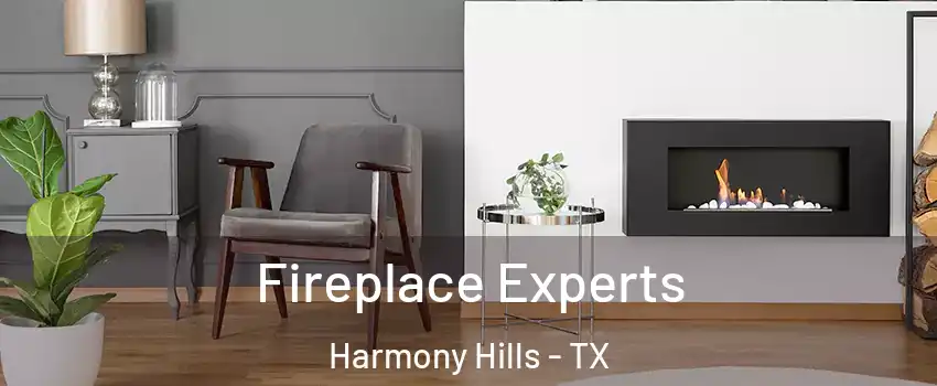 Fireplace Experts Harmony Hills - TX