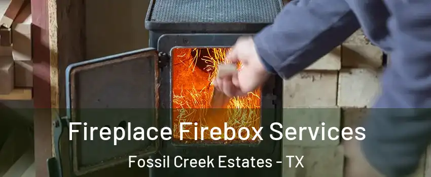 Fireplace Firebox Services Fossil Creek Estates - TX