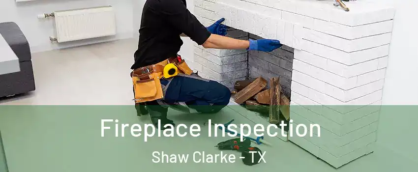 Fireplace Inspection Shaw Clarke - TX