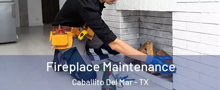 Fireplace Maintenance Caballito Del Mar - TX