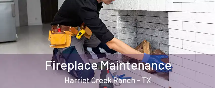 Fireplace Maintenance Harriet Creek Ranch - TX