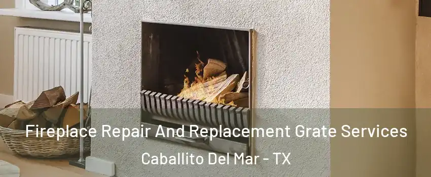 Fireplace Repair And Replacement Grate Services Caballito Del Mar - TX