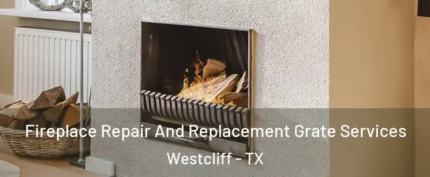 Fireplace Repair And Replacement Grate Services Westcliff - TX