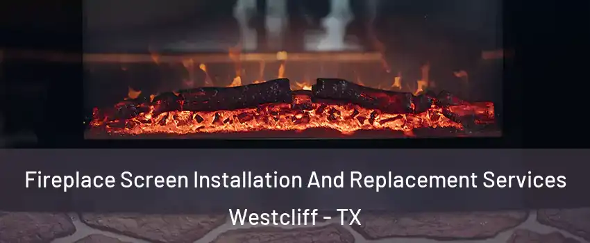 Fireplace Screen Installation And Replacement Services Westcliff - TX