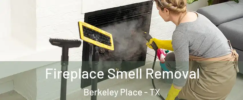 Fireplace Smell Removal Berkeley Place - TX