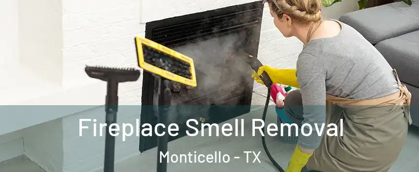 Fireplace Smell Removal Monticello - TX