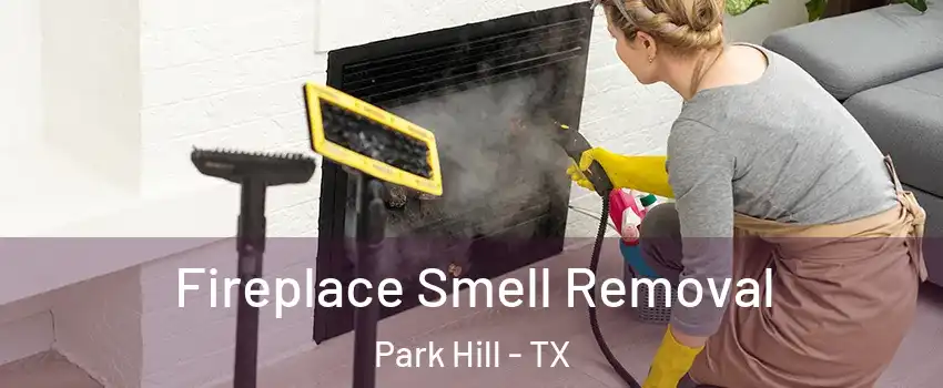 Fireplace Smell Removal Park Hill - TX