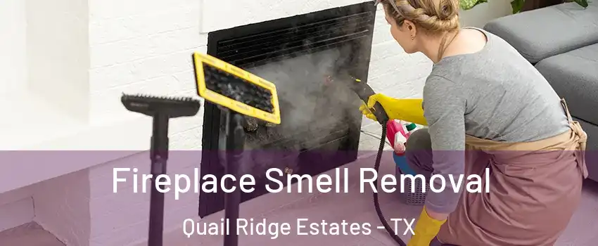 Fireplace Smell Removal Quail Ridge Estates - TX