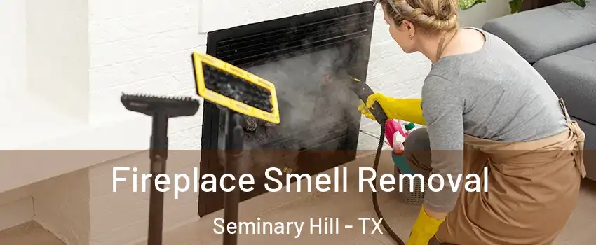 Fireplace Smell Removal Seminary Hill - TX