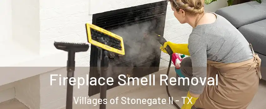 Fireplace Smell Removal Villages of Stonegate II - TX