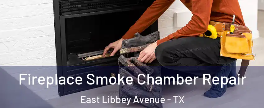 Fireplace Smoke Chamber Repair East Libbey Avenue - TX