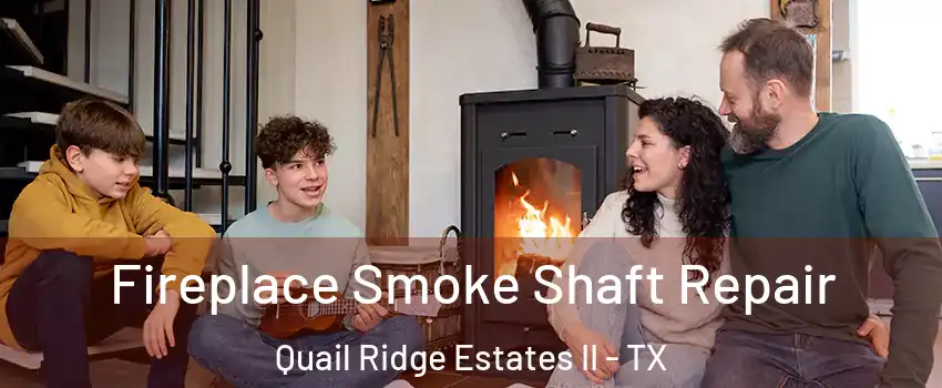 Fireplace Smoke Shaft Repair Quail Ridge Estates II - TX