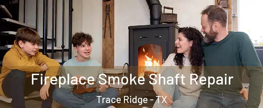 Fireplace Smoke Shaft Repair Trace Ridge - TX