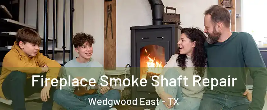 Fireplace Smoke Shaft Repair Wedgwood East - TX