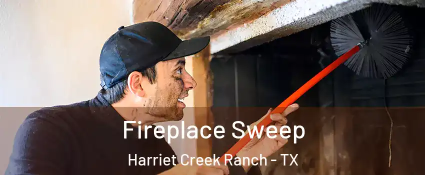 Fireplace Sweep Harriet Creek Ranch - TX