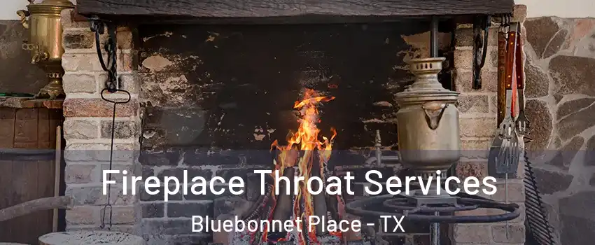 Fireplace Throat Services Bluebonnet Place - TX