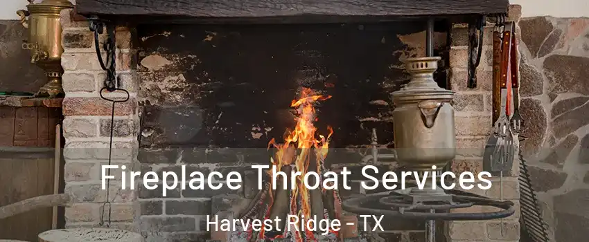 Fireplace Throat Services Harvest Ridge - TX